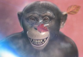 Ed Atkins - Even Pricks 1 Ed Atkins - Even Pricks 1